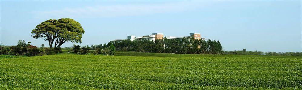 Jeju Aerospace Hotel Seogwipo Exterior foto