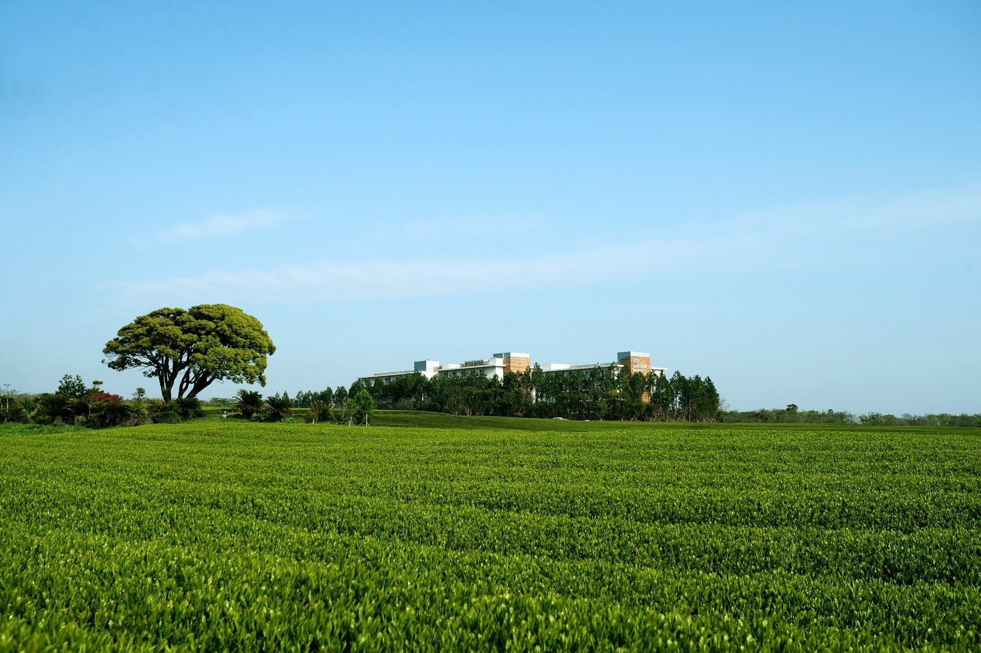 Jeju Aerospace Hotel Seogwipo Exterior foto
