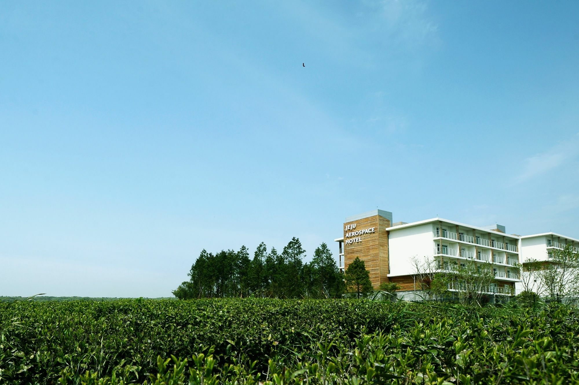 Jeju Aerospace Hotel Seogwipo Exterior foto